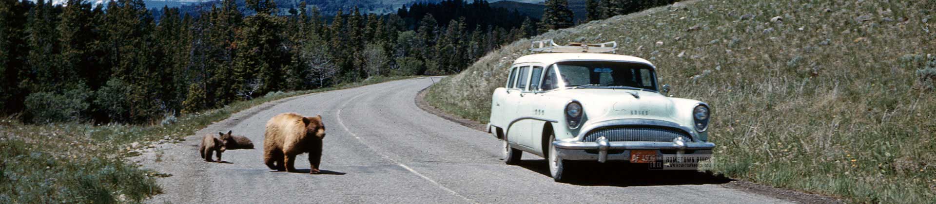 1954 Buick Banner